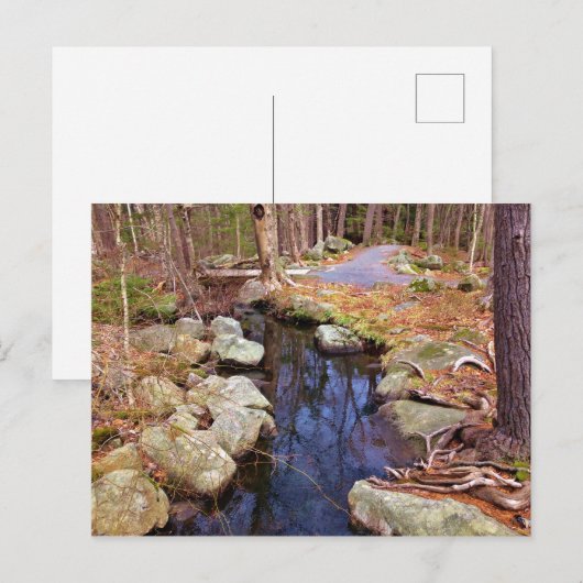 自然流 ポストカード (正面/裏面)