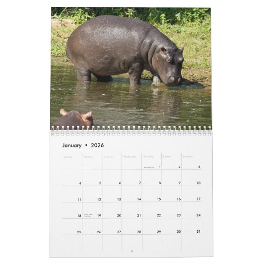 自然海馬 カレンダー (1月 2026)