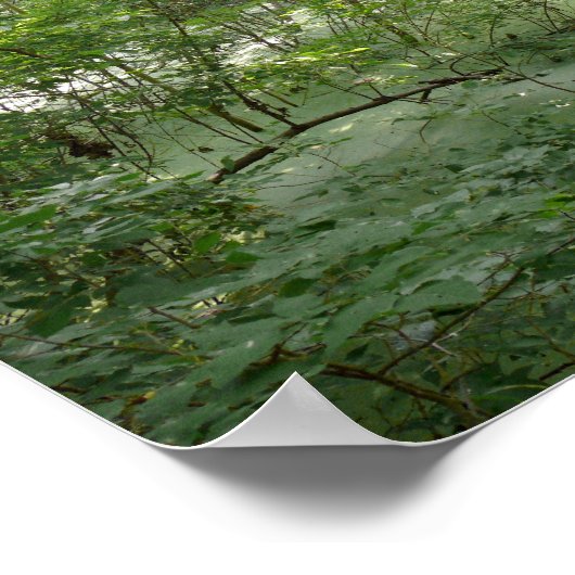 自然湿地 ポスター (角)