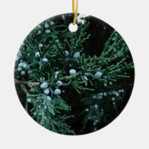 自然熟成ジュニパーベリー