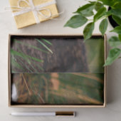 自然猫ティッシュペーパー 薄葉紙 (ギフト)