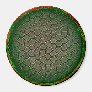 自然球 マグネット