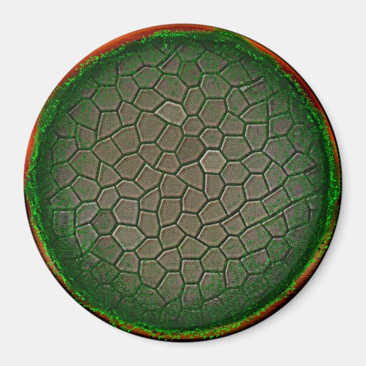 自然球 マグネット (正面)