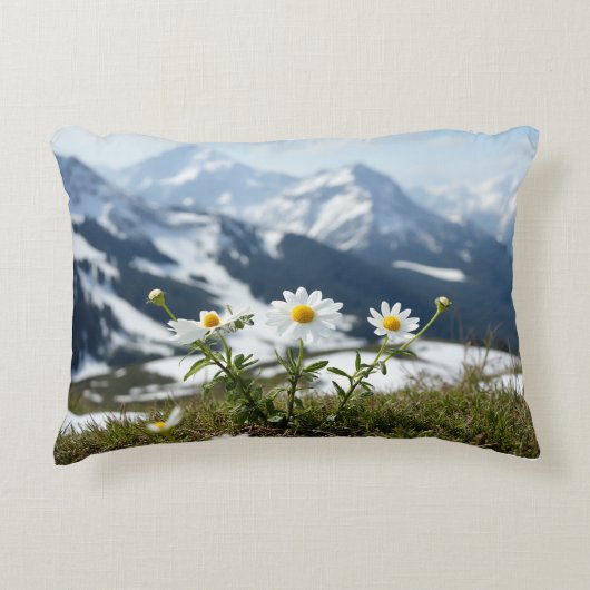 自然環境枕 アクセントクッション (正面)