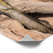 自然生息地の野生生物の休息メルカート ポスター (角)