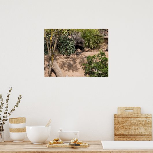 自然生息地の野生生物の休息メルカート ポスター (キッチン)