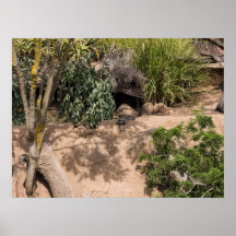 自然生息地の野生生物の休息メルカート