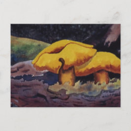 自然用修正はがき ポストカード