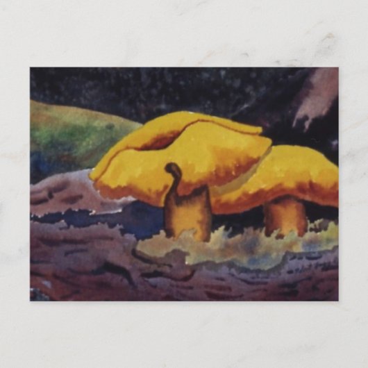 自然用修正はがき ポストカード (正面)