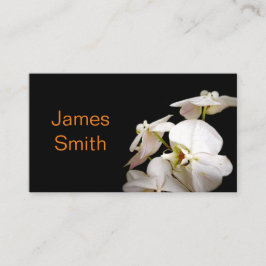 自然白蘭の花写真撮影 名刺