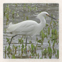 自然白Wading Bird Photo Large Egret ガラスコースター