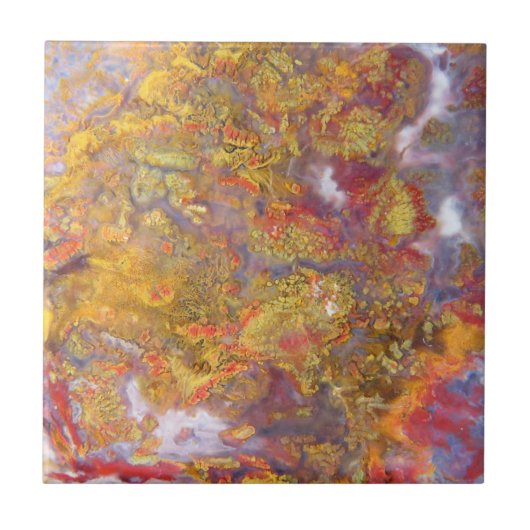 自然石像本物の色と柄 タイル (正面)