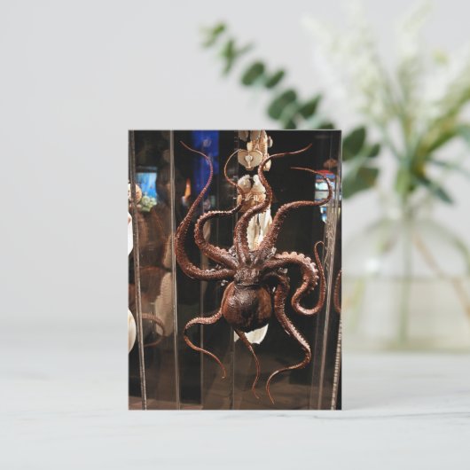 自然科学の郵便はがきのヒューストン博物館 ポストカード (スタンド正面)