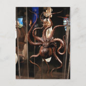 自然科学の郵便はがきのヒューストン博物館 ポストカード (正面)