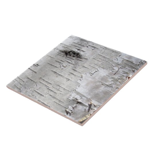 自然素朴な田舎の白い樺の木の樹皮 タイル (側面)