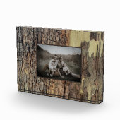 自然素朴動揺して樹木樹樹林樹 フォトブロック (右)