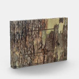 自然素朴動揺して樹木樹樹林樹 フォトブロック