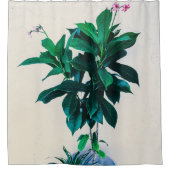 自然緑のジャトロファ植物 シャワーカーテン (正面)