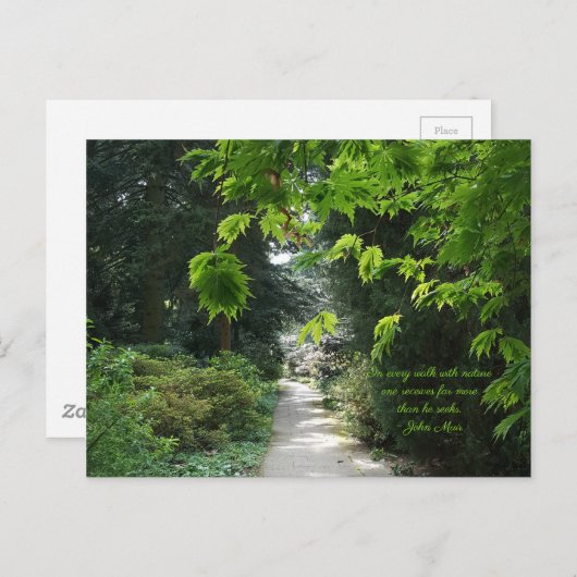 自然緑樹の引用文写真 ポストカード (正面/裏面)