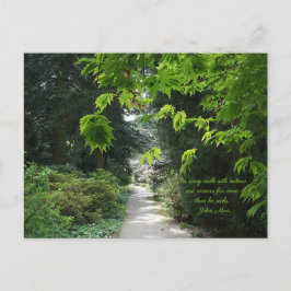 自然緑樹の引用文写真 ポストカード