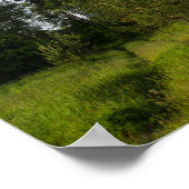 自然緑樹林景観ベラルーシのポスター ポスター (角)