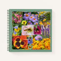 自然美しいの花と虫色