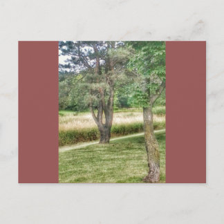 自然美しい2 ポストカード