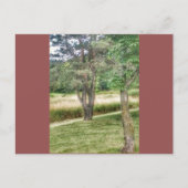 自然美しい2 ポストカード (正面)