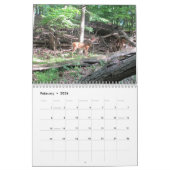 自然美しい カレンダー (2月 2026)