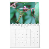自然美しい カレンダー (1月 2027)