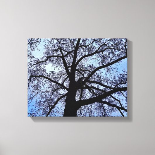 自然美しい キャンバスプリント (正面)