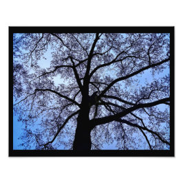 自然美しい フォトプリント           