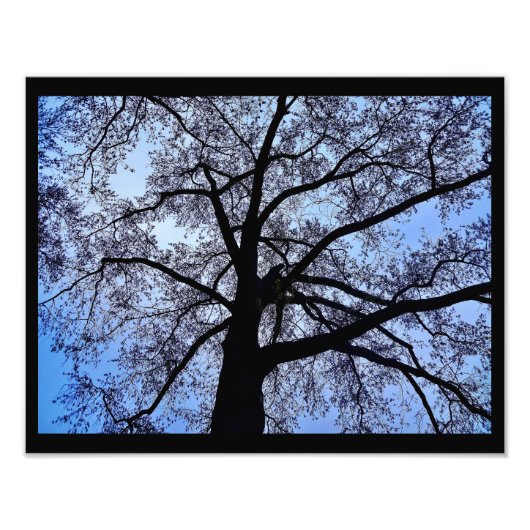 自然美しい フォトプリント            (正面)