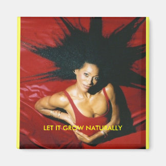 自然美しい マグネット