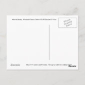 自然美しい...素晴らしいサボテンの色… ポストカード (裏面)