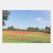 自然自然包装紙シート ラッピングペーパーシート (正面2)