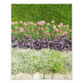 自然花園 フォトプリント            (正面)