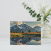 自然葉書 ポストカード (スタンド正面)