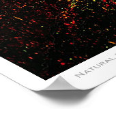 自然表現主義ポスター ポスター (角)