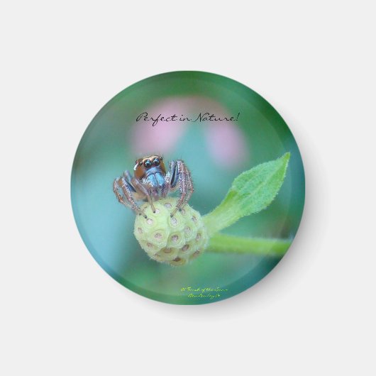 自然賞に最適 マグネット (正面)