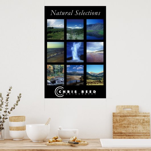 自然選択 ポスター (キッチン)