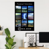 自然選択 ポスター (ホームオフィス)