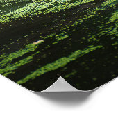 自然野生生物ベンガルトラ水写真 ポスター (角)