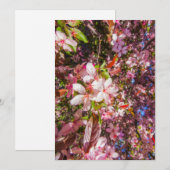 自然開花花ライトサン開花 招待状 (正面/裏面)