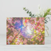 自然開花花ライトサン開花 招待状 (スタンド正面)
