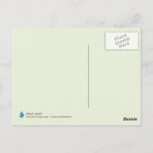 自然露オンスパイダーウェブ ポストカード (裏面)