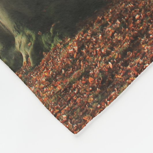 自然風景写真秋木 フリースブランケット (角)