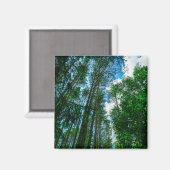 自然風景林ベラルーシ磁石 マグネット (正面/裏面)