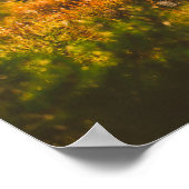 自然風景森スパイダースパイダーウェブ ポスター (角)