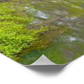 自然11"x14"壁の反射 ポスター (角)